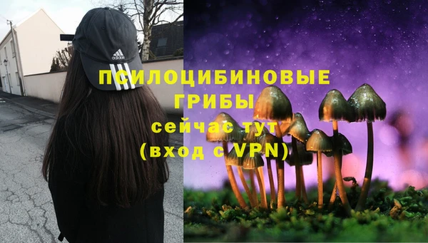 PSILOCYBIN Надым