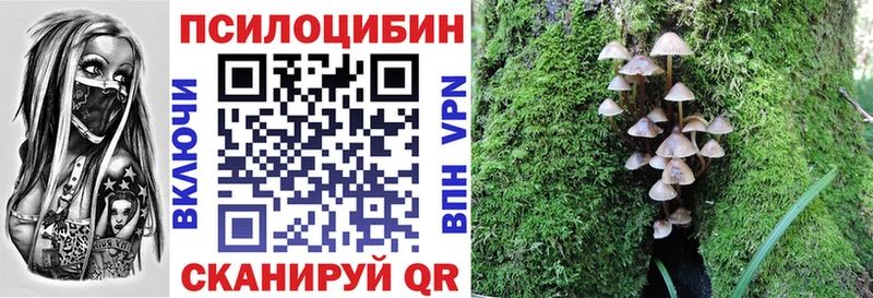 Псилоцибиновые грибы Psilocybine cubensis  Купить где  Липецк 